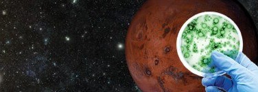 astronomy-earth-sci-archive-space-algae-could-feed-trip-mars-1761