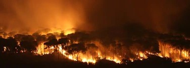 astronomy-earth-sci-archive-predicting-wildfires-climate-change-models-1761