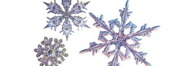 elementary-archive-snowflakes-not-just-frozen-rain-1761