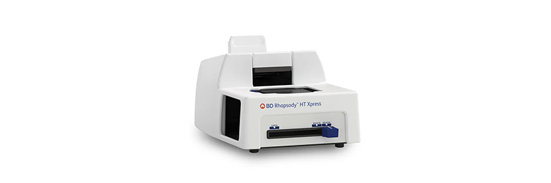 Single Cell Analysis 
