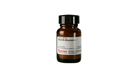 Cell Lysis Detergents