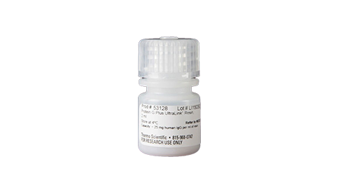 Protein Resins