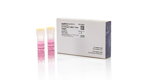 Real-Time PCR Assays and Arrays