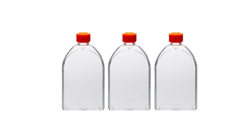 Cell Culture Flasks