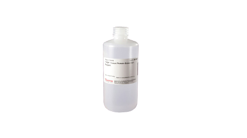 Protein Extraction