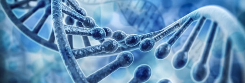Find the Right TaqMan Assay