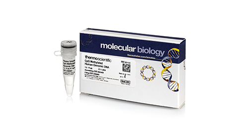 DNA Sequencing