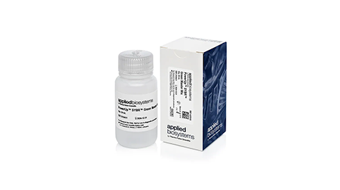 Real-Time PCR Master Mixes