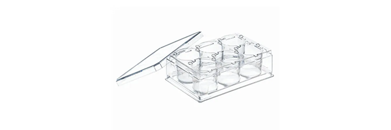 Cell Culture Dishes