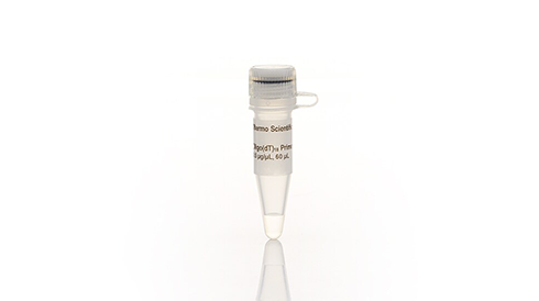 Oligonucleotides