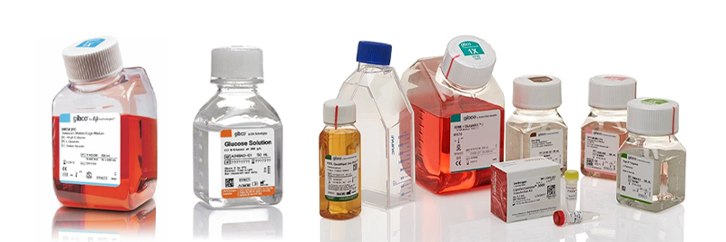 Cell Culture Media and Reagents