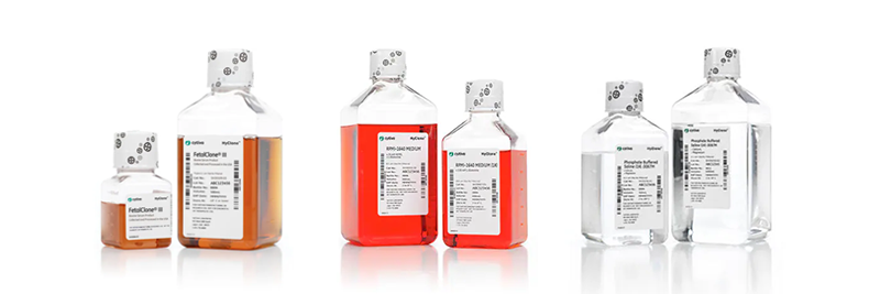 Cell Culture