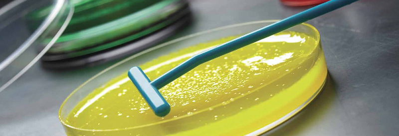 Related Resources - Microbiology Brochure