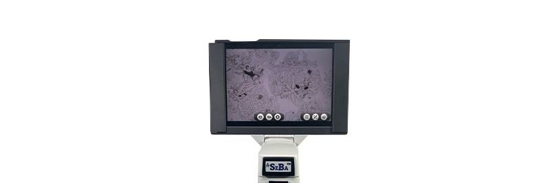 Digital Compound Classroom Microscopes