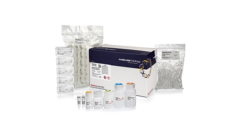 DNA Extraction and Purification