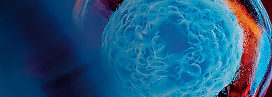  Cell and Gene Therapy Solutions