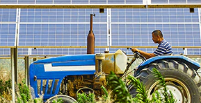 Brighter Future for Farming and Renewable Energy