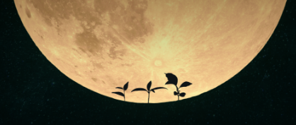 First Plants Grown in Lunar Soil May Lead to Farming in Space