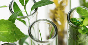 A Partnership for the Planet—My Green Lab and Thermo Fisher Scientific