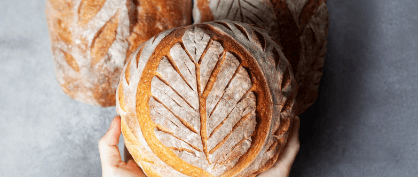 Fermentation Fundamentals: The Science of Sourdough Bread