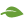 Greener Choice Leaf Icon