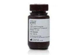 featured-product-immunoassay-reagents-and-kits-24-1518