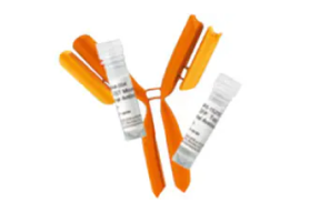 featured-product-antibodies-24-1518