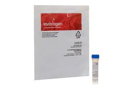 featured-product-cell-based-assays-24-1518