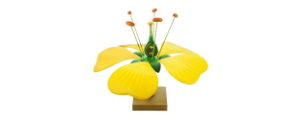 plant-models-22-0803