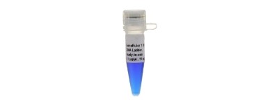 Electrophoresis Reagents