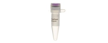 Enzymes