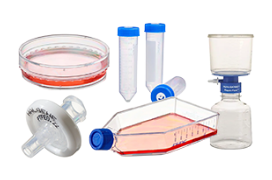 Cell Culture Products