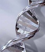 dna-model dna-model