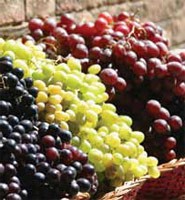 grapes