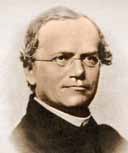 mendel mendel