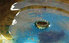 heavy-metal-water
