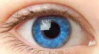 blue-eye blue-eye