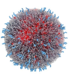 cancer-particle cancer-particle