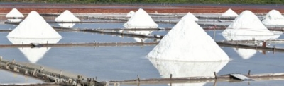 Salt Salt