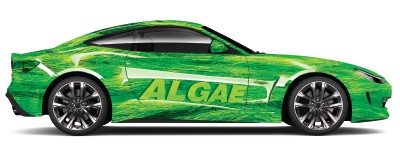 algae-car-article-2