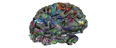 brain-article-2