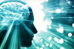 brain