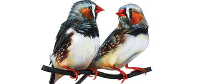 tweet-0035 tweet-0035