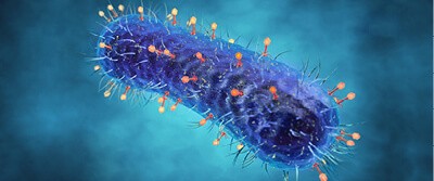 viruses-inside-our-body-17-3172