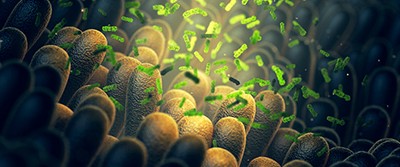 autism-bacteria-400-1356 autism-bacteria-400-1356