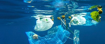 marine-microbes-400-1356