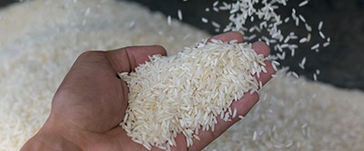 rice-0400 rice-0400