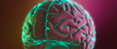 strain-train-brain-400-0752