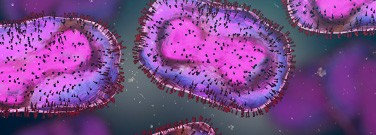 hd-Monkeypox-22-711-1720