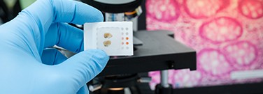hd-cytotechnologist-0520